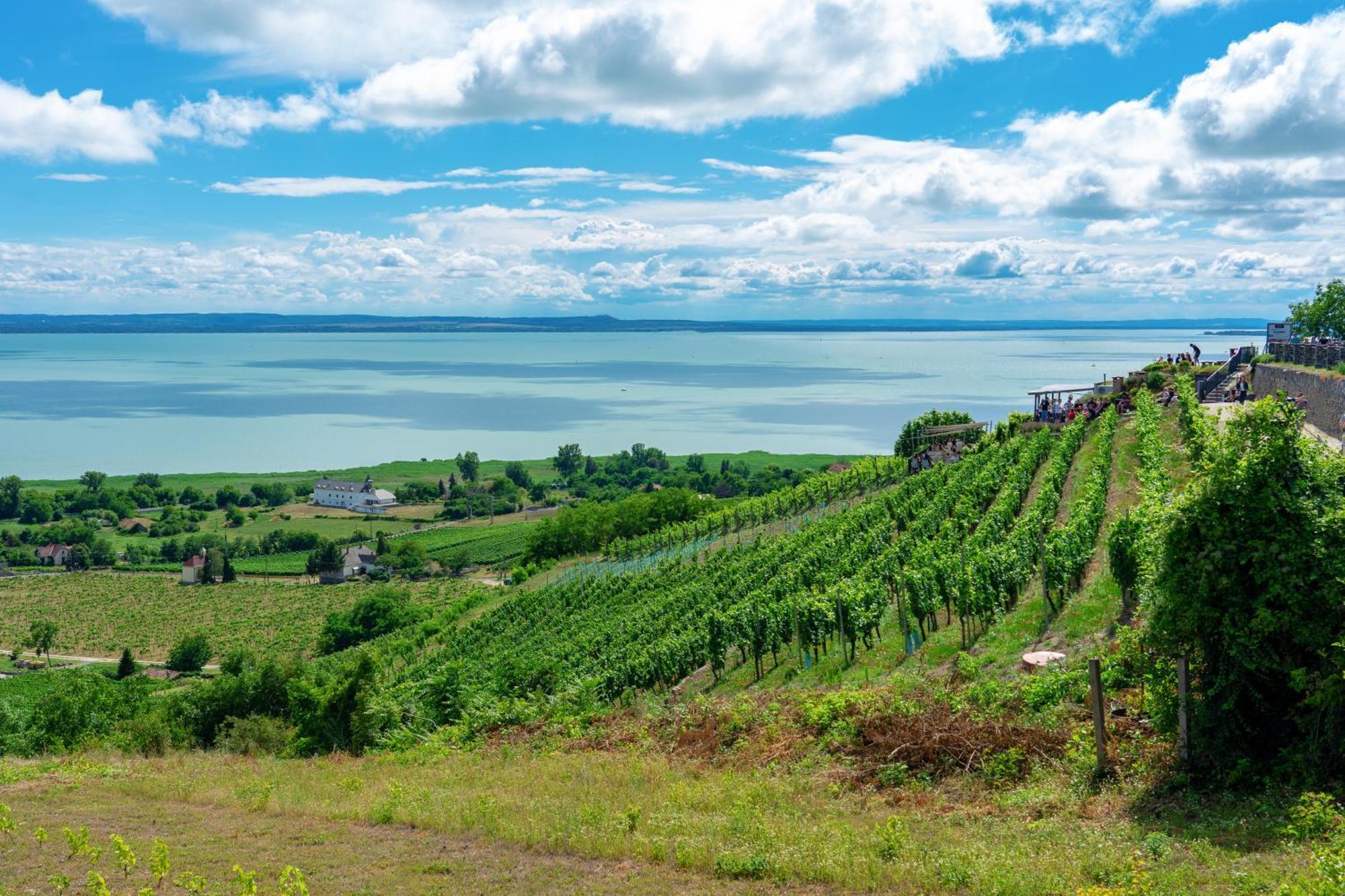 Lake Side Luxury Steps To The Lake Lela - Happy Rentals 巴拉通雷勒 外观 照片